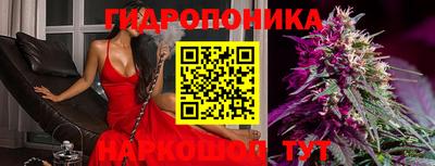 PSILOCYBIN Балашиха