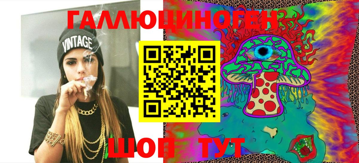 Будённовск  купить закладку  Галлюциногенные грибы Psilocybe  Вход с VPN  Галлюциногенные грибы мицелий 
